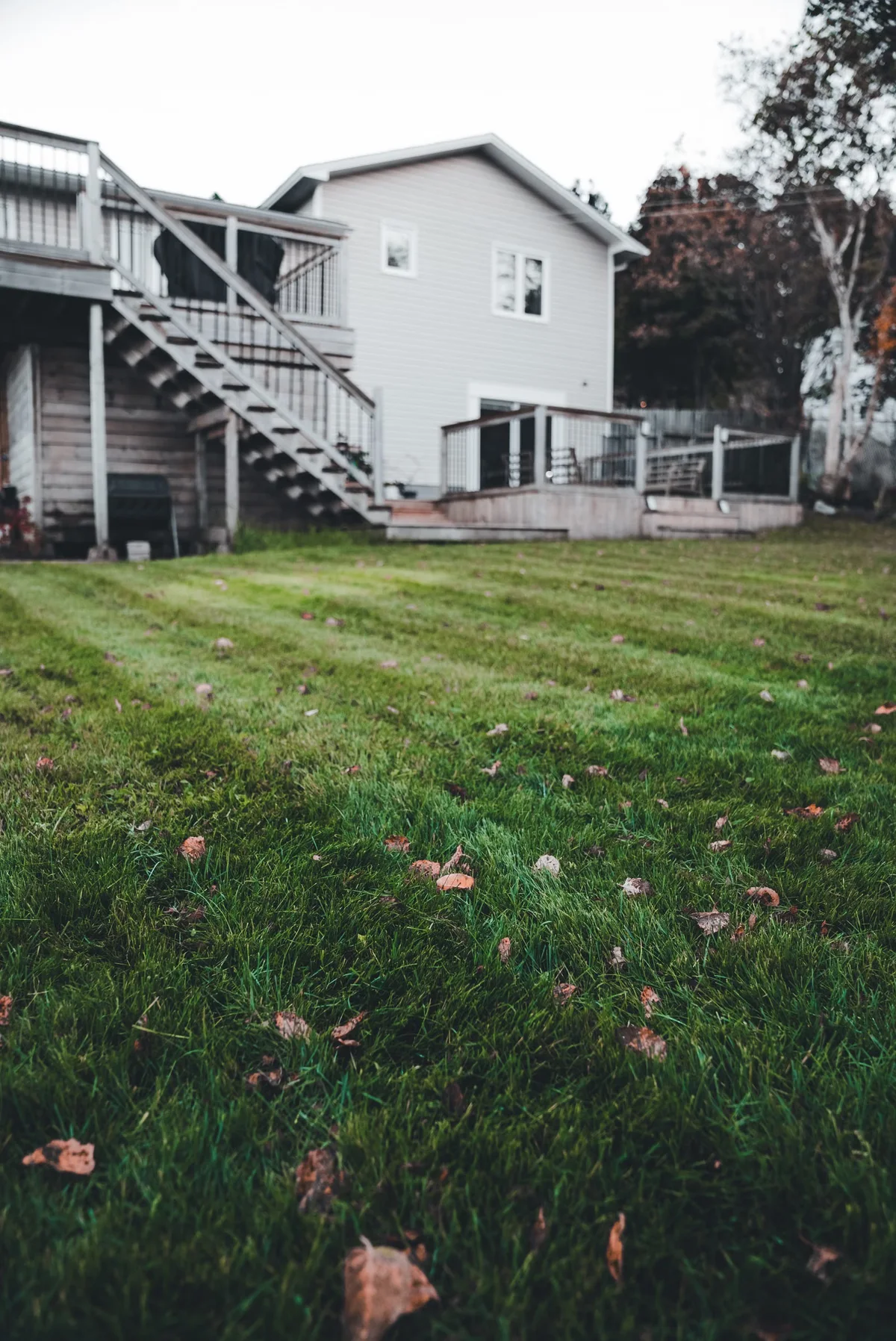Terrasse en bois terminée dans un jardin résidentiel, illustration des contraintes d'accès, de finitions et d'environnement qui influencent un devis local