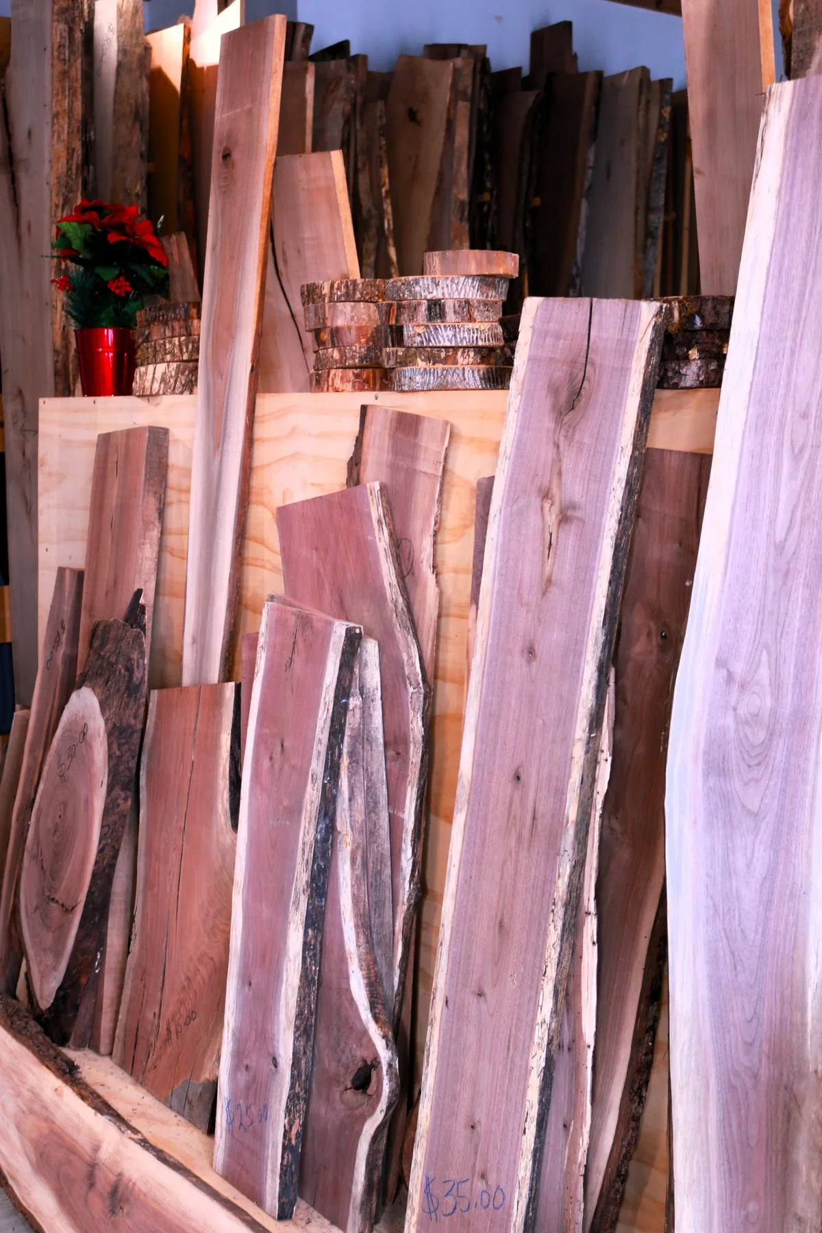 Différentes planches de bois présentées dans un atelier, illustration de la comparaison entre essences lorsque le Douglas n'est pas adapté au projet