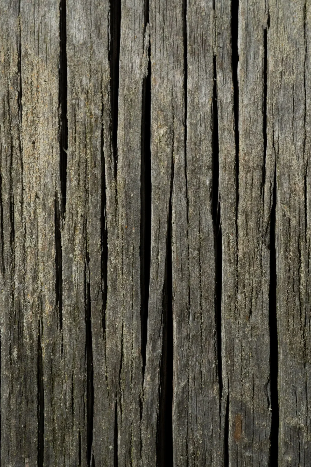 Planches de bois vieillies en extérieur montrant grisaillement, marques et évolution naturelle de la surface