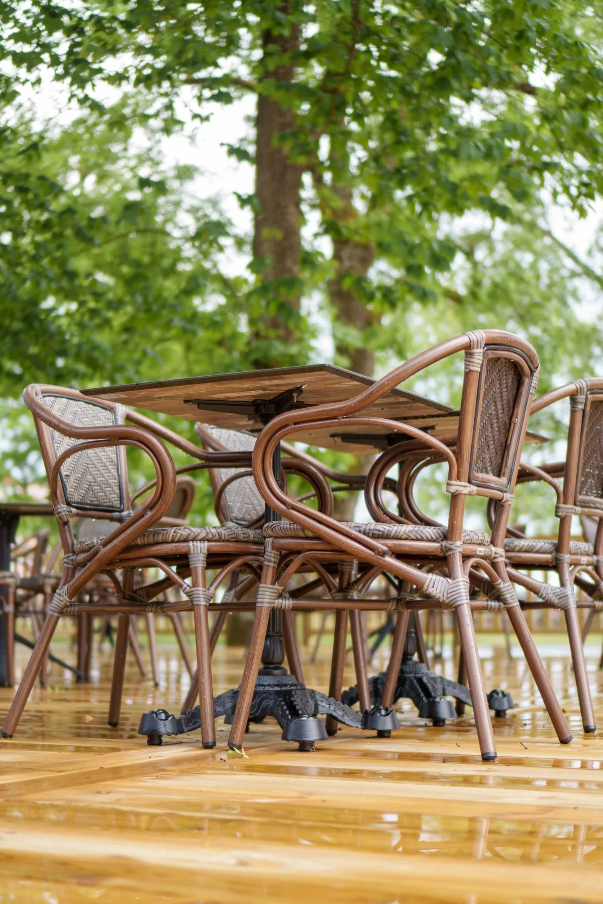 Terrasse en bois humide sous la végétation illustrant les zones où feuilles, dépôts et ombre peuvent ralentir le séchage